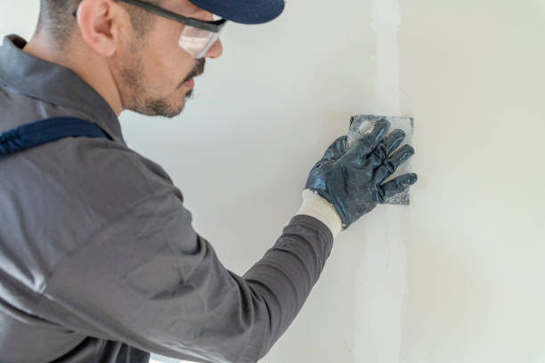 Best Mold Damage Restoration  in Port St Lucie, FL