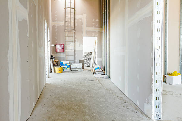 Best Emergency Mold Remediation  in Port St Lucie, FL